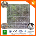 Galvanized Steel Fixed Knot Cattles Field Fencing